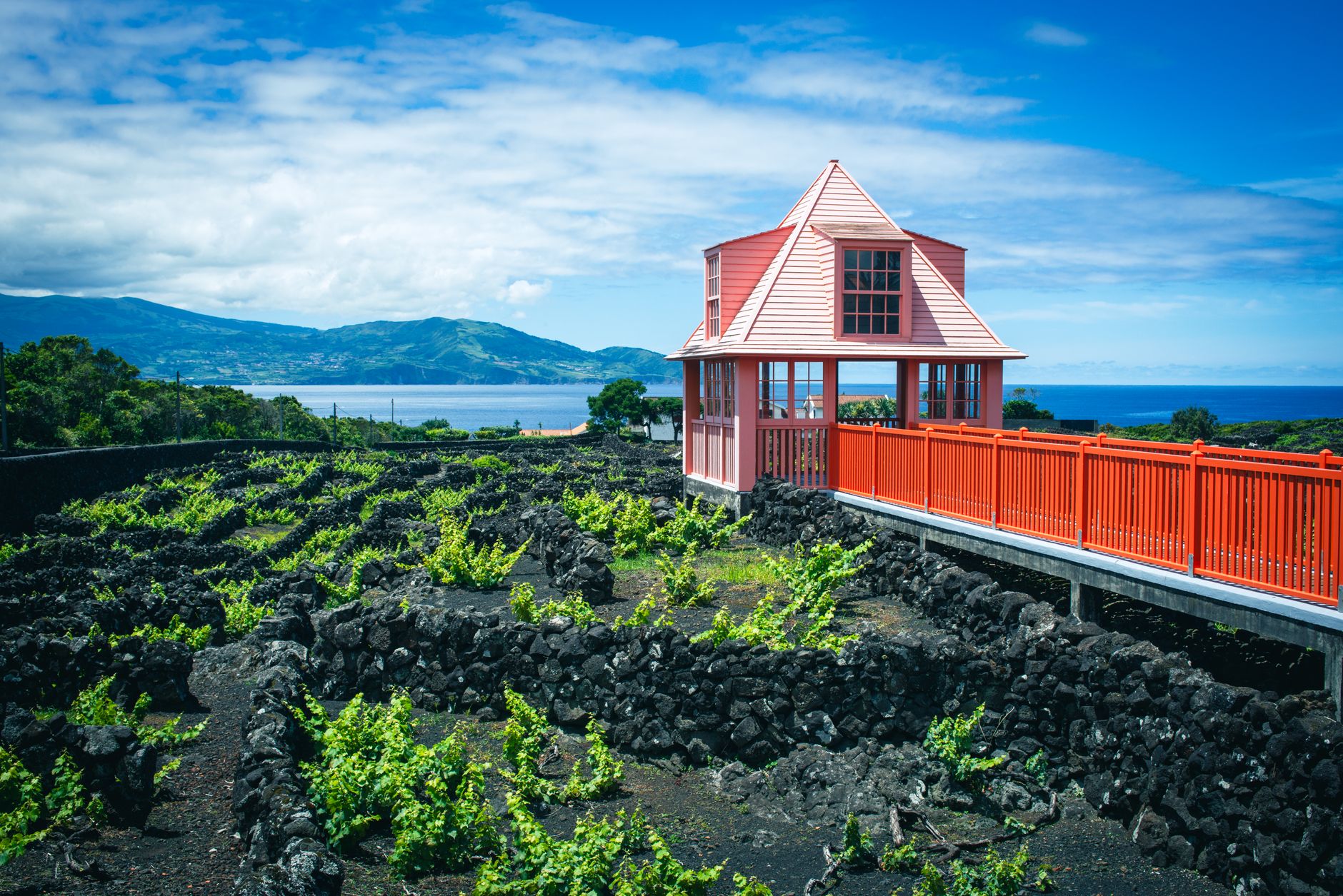 Paredes de pedra negra de vinhas a formar um mosaico perto da Madalena, na ilha do Pico