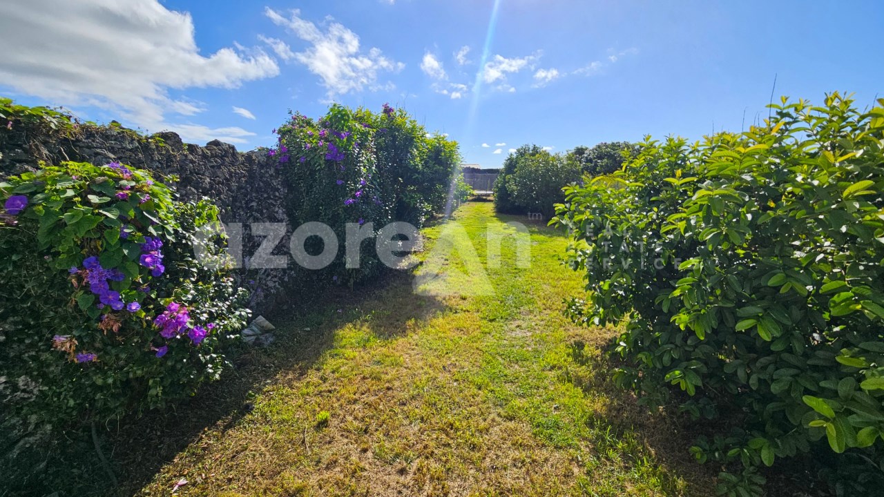 Garden with fruit trees